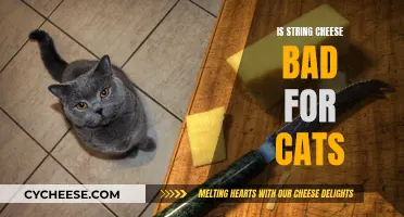 String Cheese and Cats: A Healthy Mix?