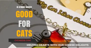 Can Cats Eat String Cheese? Safety and Nutritional Insights