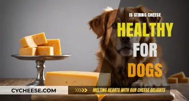 String Cheese: Healthy Dog Treat or Not?