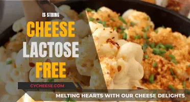 String Cheese and Lactose: What's the Deal?