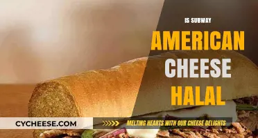 Is Subway's American Cheese Halal? A Detailed Analysis