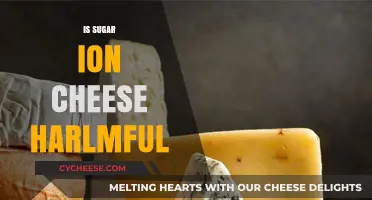 Is Sugar in Cheese Harmful? Uncovering the Truth About Your Diet