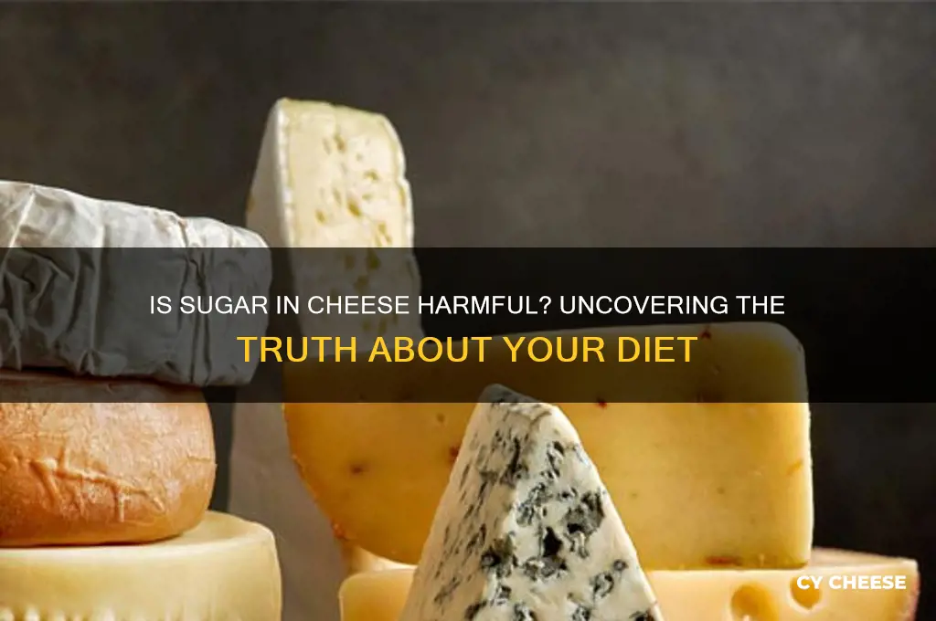 is sugar ion cheese harlmful