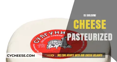 Is Sulguni Cheese Pasteurized? Understanding Its Production and Safety