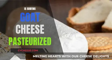 Unraveling the Mystery: Is Goat Cheese Surf-Ready?