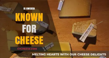 Exploring Sweden's Culinary Identity: Is Cheese a National Treasure?