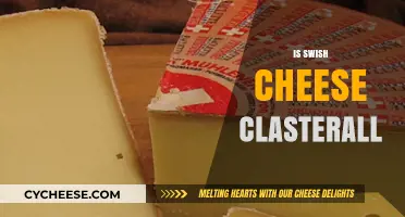 Is Swish Cheese Clasterall? Unraveling the Mystery Behind the Term