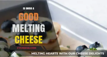 Is Swiss Cheese Ideal for Melting? A Cheesy Debate Explored