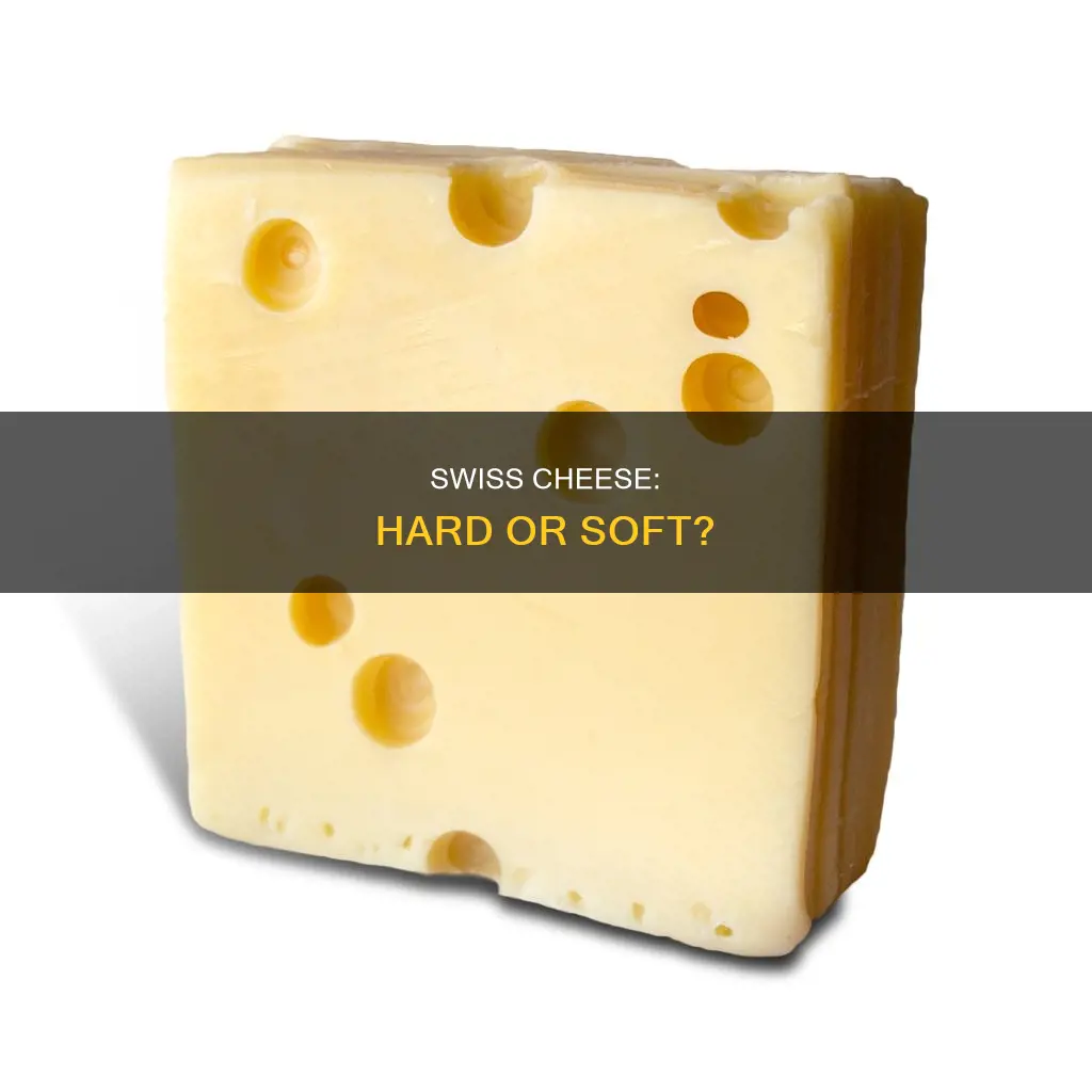 is swiss a hard cheese