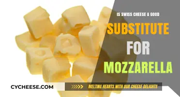 Swiss Cheese vs. Mozzarella: A Tasty Substitute or Culinary Misstep?