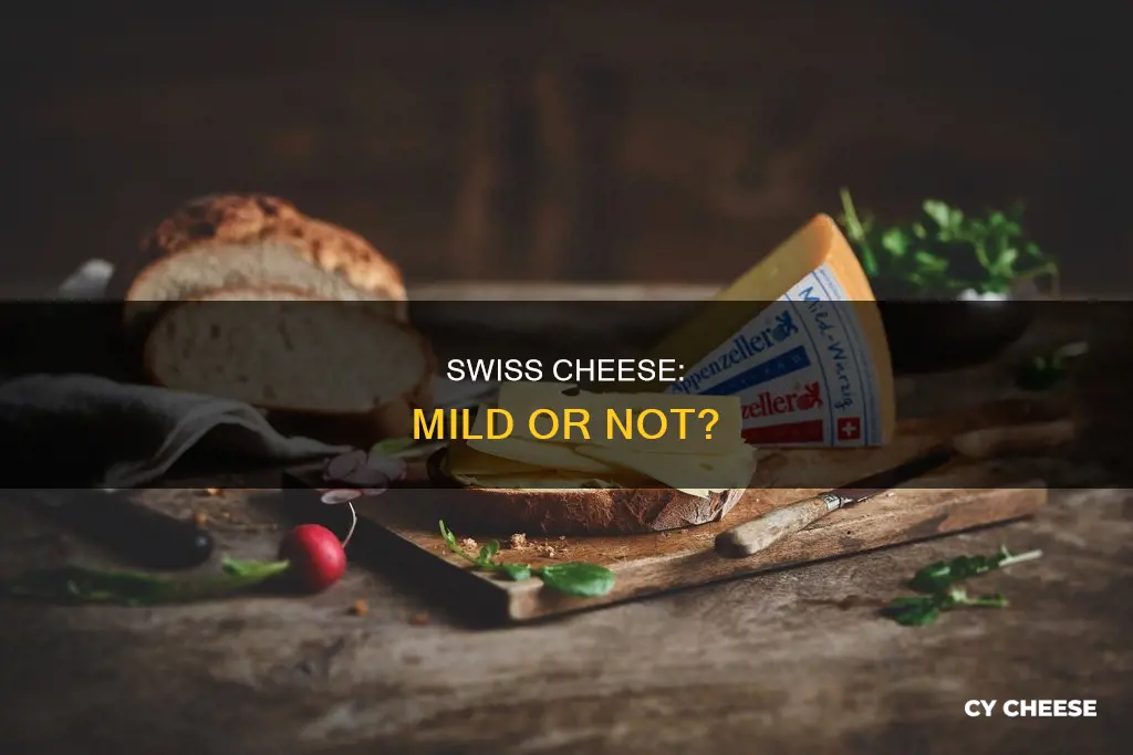 is swiss cheese a mild cheese