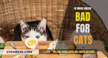 Swiss Cheese and Cats: A Dangerous Mix?
