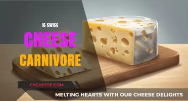 Swiss Cheese: Carnivore-Friendly or Not?
