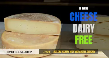 Swiss Cheese and Dairy: What's the Deal?