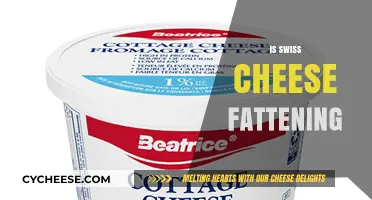 Swiss Cheese: Fattening or Healthy?