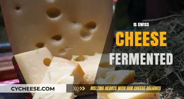 Swiss Cheese: A Fermented Treat