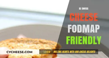 Swiss Cheese and FODMAP: A Good Pairing?