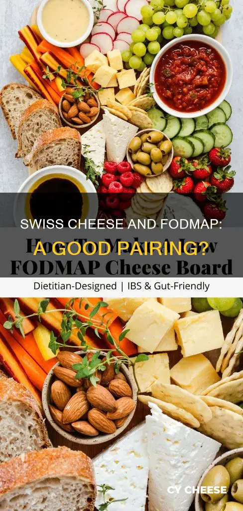 is swiss cheese fodmap friendly
