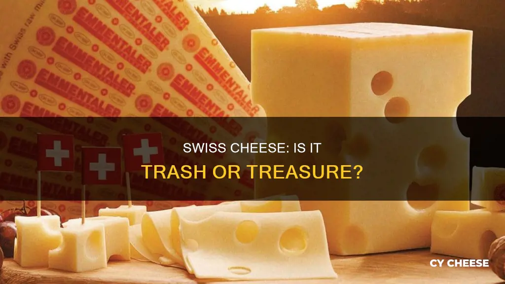 is swiss cheese garbage