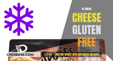 Swiss Cheese and Gluten: A Safe Pairing?