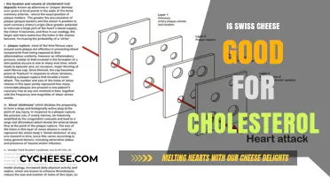 Swiss Cheese and Cholesterol: Health Benefits or Risks Explained