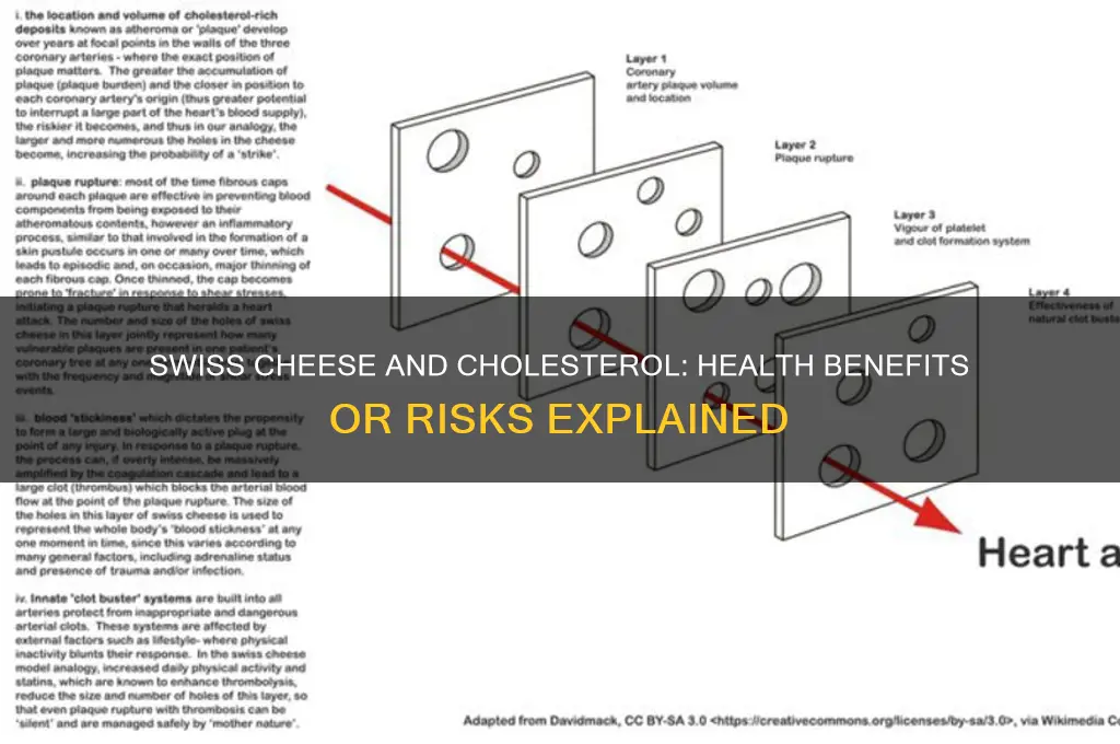 is swiss cheese good for cholesterol