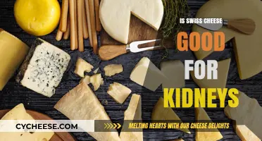 Swiss Cheese and Kidney Health: Benefits, Risks, and Nutritional Insights