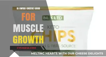 Swiss Cheese and Muscle Growth: Benefits, Nutrition, and Protein Power