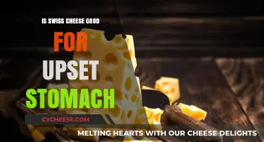 Swiss Cheese for Upset Stomach: Benefits, Risks, and Tips