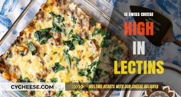 Swiss Cheese and Lectins: What's the Deal?