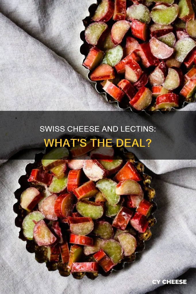 is swiss cheese high in lectins