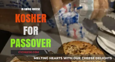Swiss Cheese and Passover: Kosher or Not?