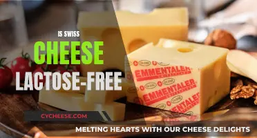 Swiss Cheese: Lactose-Free Superfood?