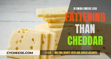 Swiss Cheese: A Healthier Choice Than Cheddar?