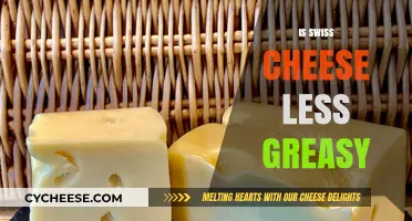 Swiss Cheese: Less Greasy, More Delicious