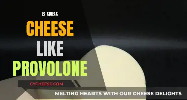 Swiss and Provolone: Similar Cheeses or Distinct Flavors?