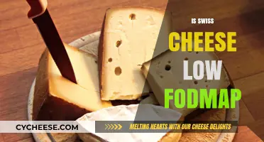 Swiss Cheese and FODMAP: What's the Deal?