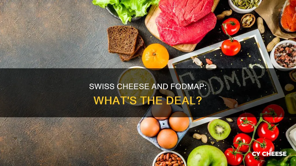 is swiss cheese low fodmap