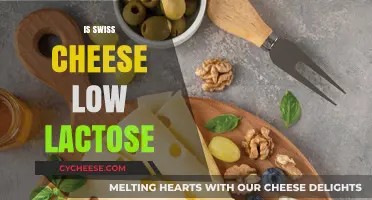 Swiss Cheese and Lactose: A Healthy Match?