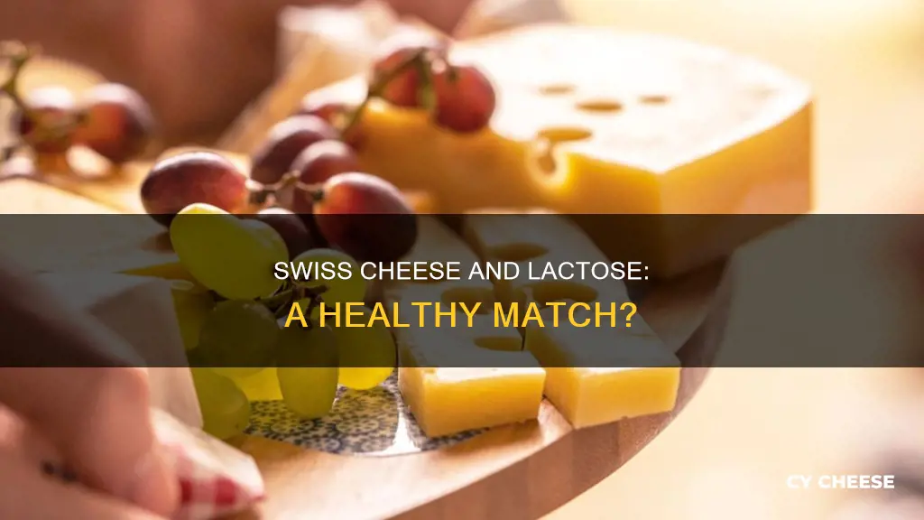 is swiss cheese low lactose