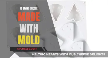 Moldy Mystery: Swiss Cheese and Its Surprising Secret