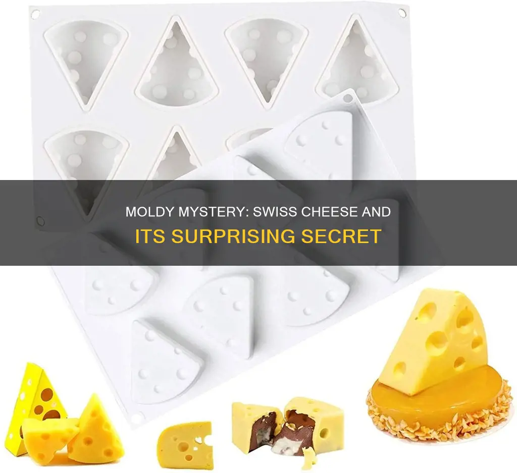 is swiss cheese made with mold