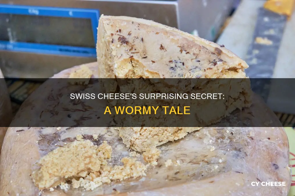 is swiss cheese made with worms