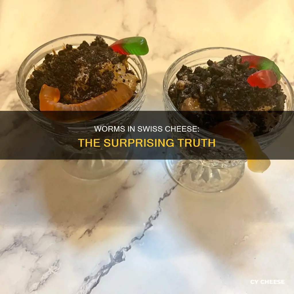 is swiss cheese made with worms