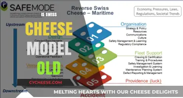 Swiss Cheese Model: Still Relevant?