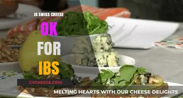 Swiss Cheese and IBS: A Safe Snack?