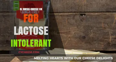 Swiss Cheese: Lactose Intolerant's Friend or Foe?