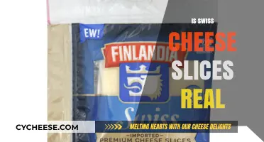 Swiss Cheese Slices: Real or Not?