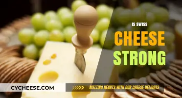 Swiss Cheese: Is It Strong or Not?