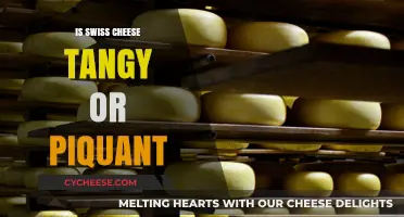 Swiss Cheese: Tangy or Piquant?